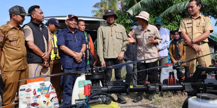 Kementan Turun Tangan Atasi Hama di Pinrang