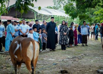 Polres Pinrang Sembelih 22 Ekor Sapi Qurban di Hari Idul Adha