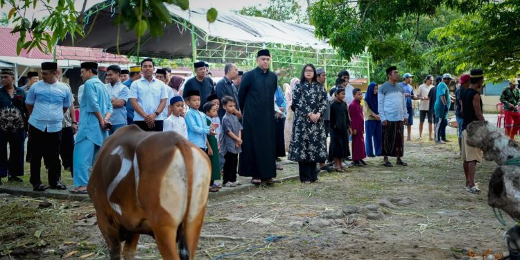 Polres Pinrang Sembelih 22 Ekor Sapi Qurban di Hari Idul Adha