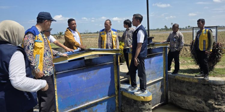 ‎PSDA Pinrang Janji Tambah Debit Air untuk Sawah Tanra Tuo  ‎