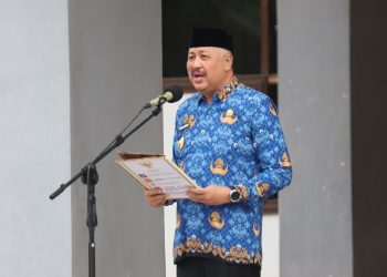 Bupati Irwan Canangkan Sensus Ekonomi 2026 di Pinrang