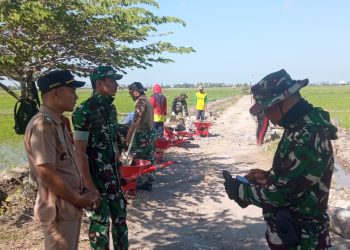 TMMD ke-129 Buka Akses Jalan Cempa–Sawitto, Percepat Pembangunan Desa