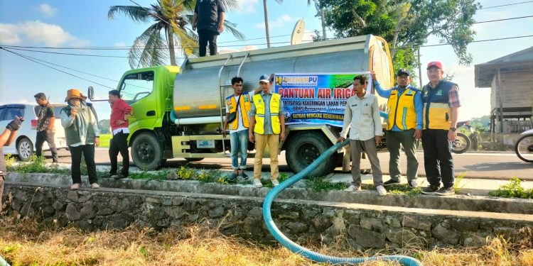 Pinrang Kerahkan Tangki Air Selamatkan Sawah Terdampak El Nino