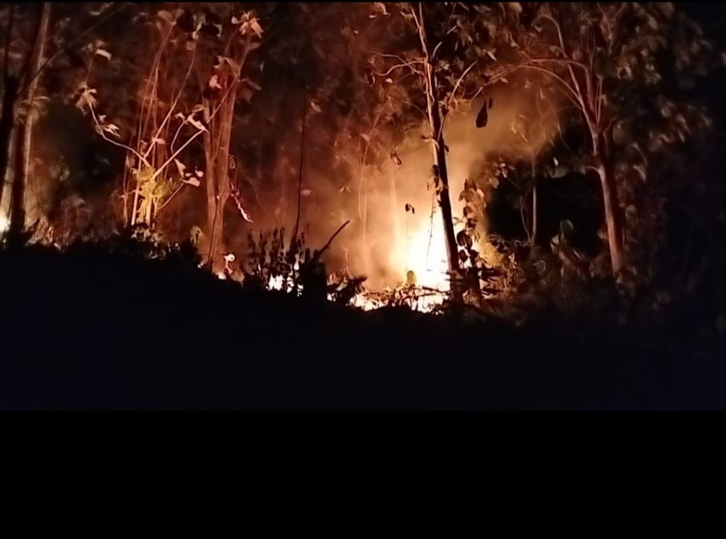 Kebakaran Gunung di Lembang Hanguskan 5 Hektare Kebun Jati
