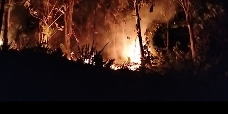 Puncak Gunung Lembang Terbakar, Lima Hektare Kebun Jati Merah Dilalap Api
