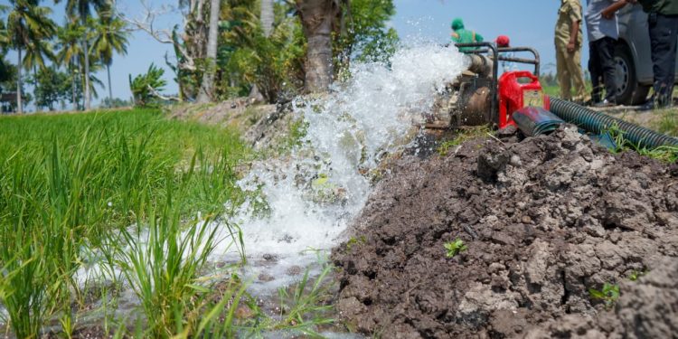 Irpom Jadi Andalan, Bupati Irwan Pastikan Sawah Tetap Terairi