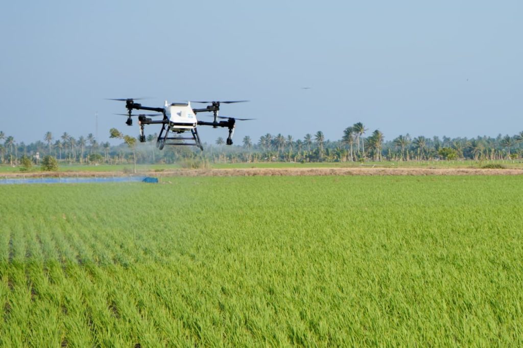 Drone Tekan Biaya, Perkuat Pengendalian Wereng