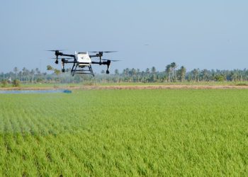 Drone Tekan Biaya, Perkuat Pengendalian Wereng