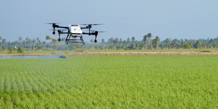 Drone Tekan Biaya, Perkuat Pengendalian Wereng