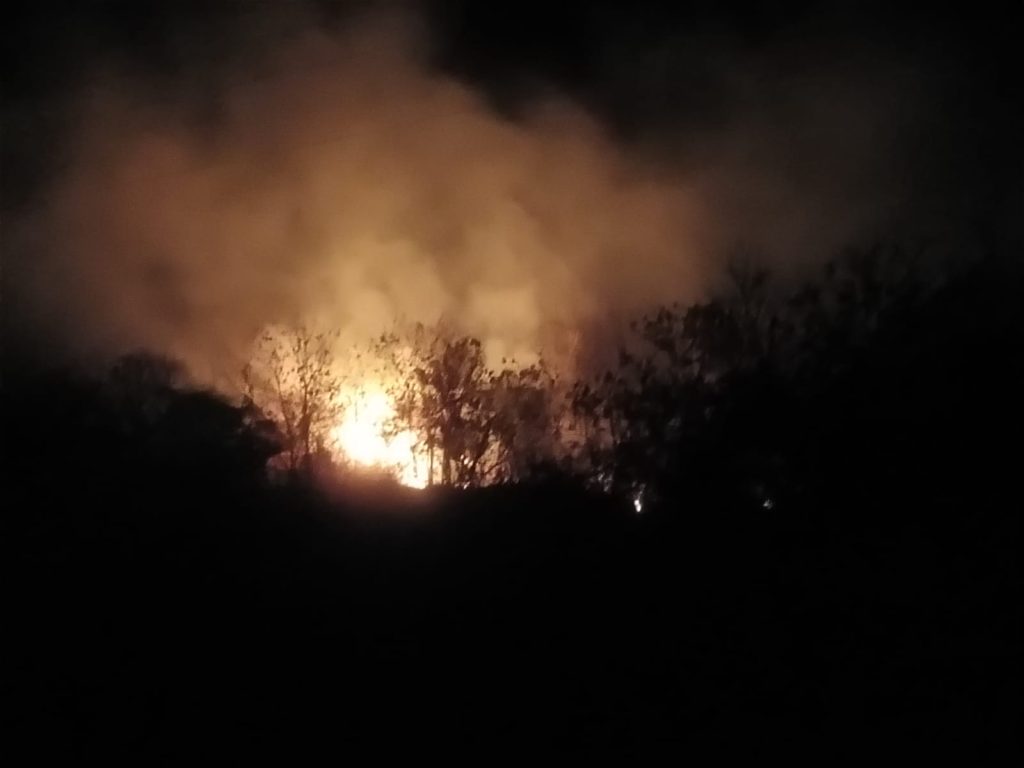 Angin Kencang Bakar 8 Hektare Kebun Jati di Lembang