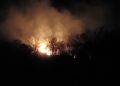 Angin Kencang Bakar 8 Hektare Kebun Jati di Lembang