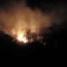 Angin Kencang Bakar 8 Hektare Kebun Jati di Lembang