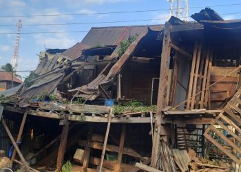 Pohon Tumbang, Rumah Guru di Bungi Porak Poranda