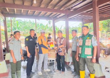 Petani Diserang Wereng, Pemerintah Hadir