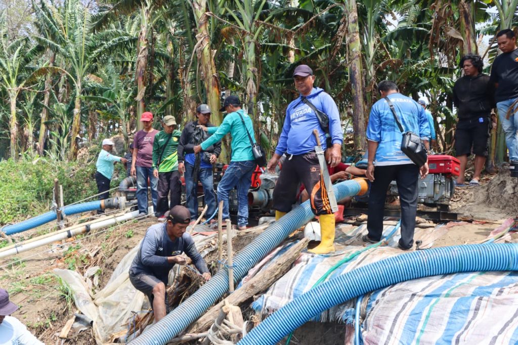 Air Sungai Saddang Dipompa, Sawah Duampanua Diselamatkan