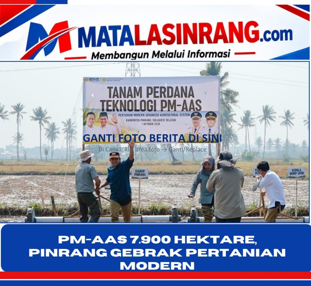 PM-AAS 7.900 Hektare, Pinrang Gebrak Pertanian Modern